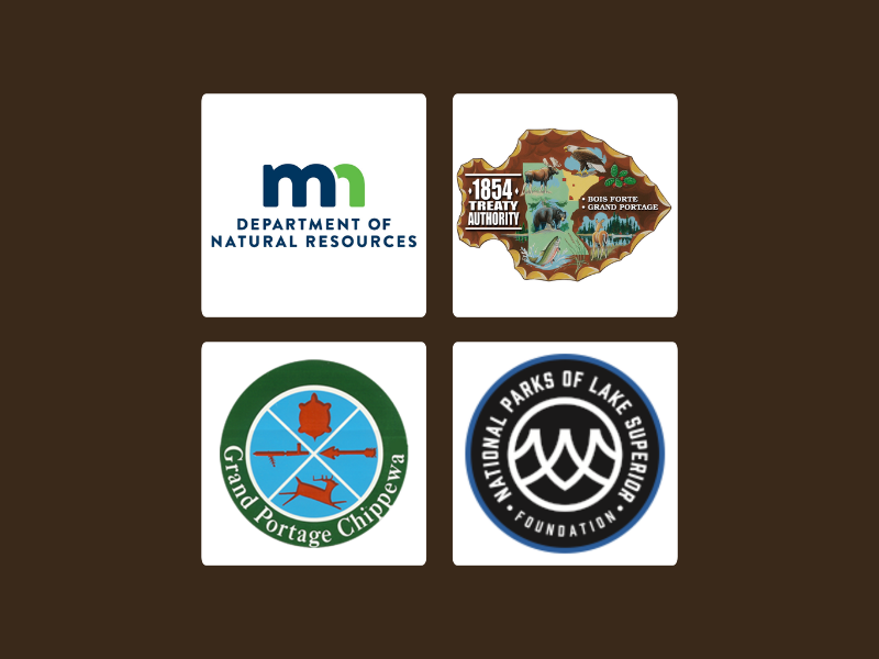 New partnership to study and improve moose survival in Minnesota