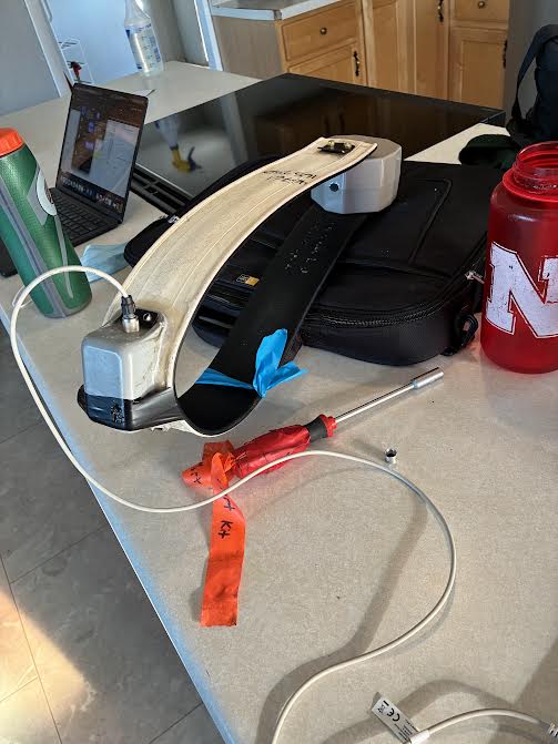 Updating the firmware on an adult cow (female moose) collar