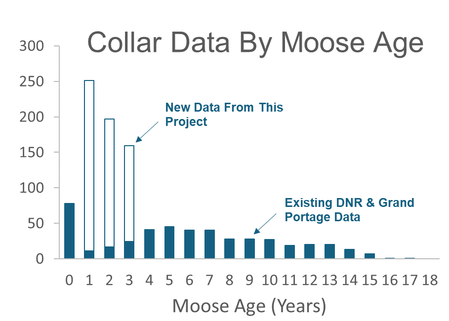 Chart titled &ldquo;Collar Data By Moose Age&rdquo; showing existing collar data by age and new data expected from this project for young moose ages 1&ndash;3.
